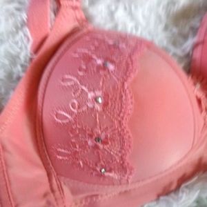 New Bra with tags